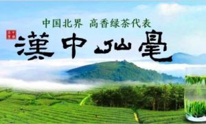 斬獲“中國茶界奧斯卡”大獎！漢中茶葉品質攀升再獲佳績縮略圖